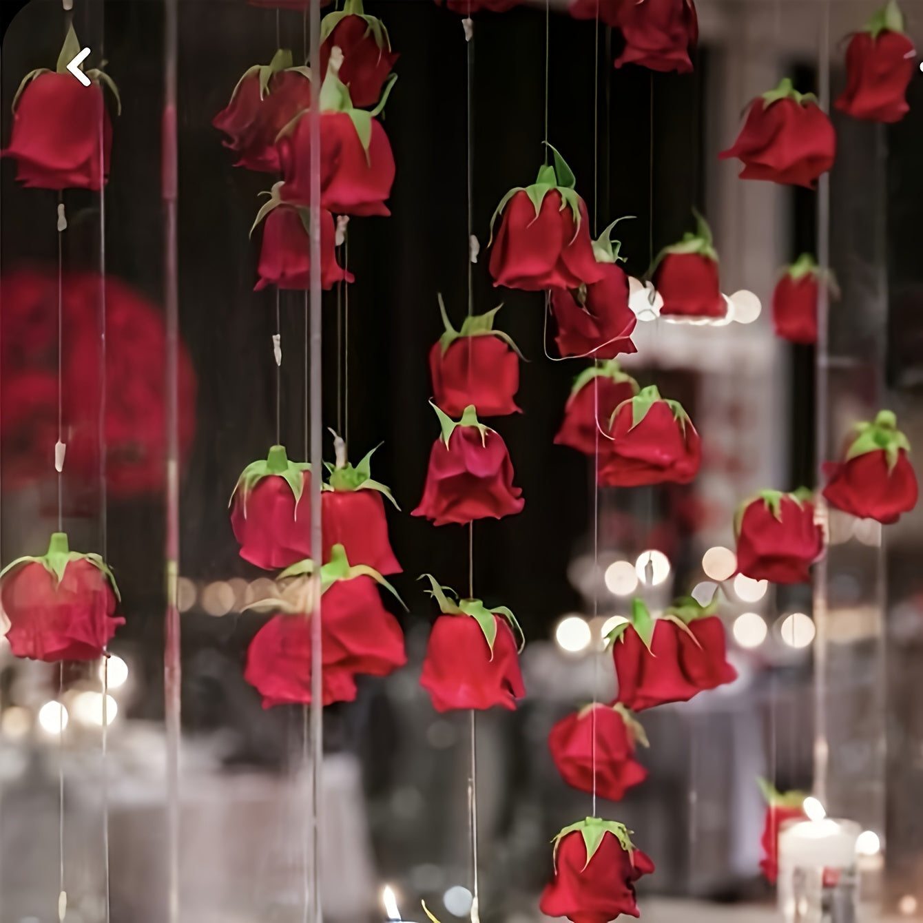 102pcs Red Rose Waterfall Set, Including 100 Artificial Roses and 2 Rolls of Transparent Rope, Valentine's Day Wedding Party Bridal Shower Birthday Room Decoration Supplies, Wedding Decor, Event Styling, Elegant Decor, Romant